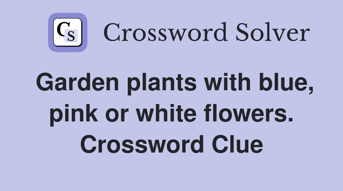 Garden plants with blue, pink or white flowers. Crossword Clue